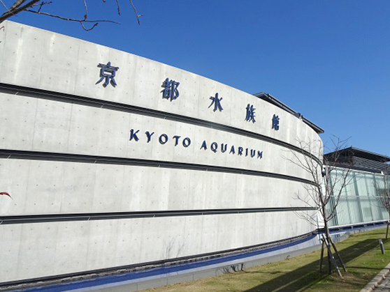 KYOTO AQUARIUM