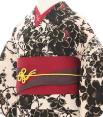 Examples of rental kimono　Cool