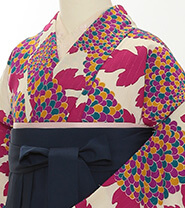 当日振袖プラン一例