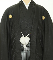 Crested Hakama Plan Example