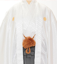 Crested Hakama Plan Example