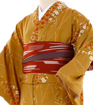 Examples of rental kimonos