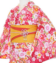 Examples of Small Size Kimonos (150 cm or shorter)