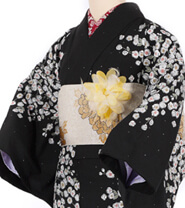 Examples of Tall Size Kimonos (170 cm or taller)