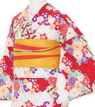 Examples of Tall Size Kimonos (170 cm or taller)