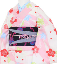 Examples of Tall & Wide Size Kimonos