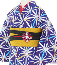 Examples of Tall & Wide Size Kimonos