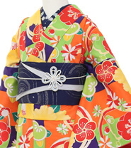 Examples of Tall & Wide Size Kimonos