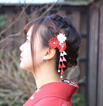 The Hairstyles of Geisha and Maiko Shimada Wareshinobu Sakko  Tea  Ceremony Japan Experiences MAIKOYA