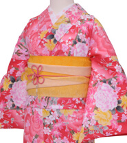 Rental Kimono Examples Cute Style