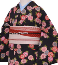 Rental Kimono Examples Cute Style
