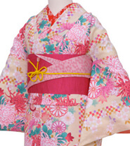 Rental Kimono Examples Cute Style