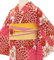 Rental Kimono Examples Cute Style