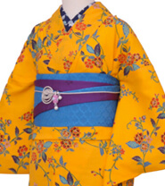 Rental Kimono Examples Cool Style