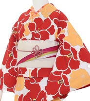 Rental Kimono Examples Cool Style