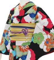 Rental Kimono Examples Cool Style