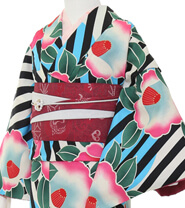 Rental Kimono Examples Cool Style