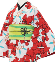 Rental Kimono Examples Cool Style