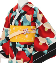 Rental Kimono Examples Cool Style