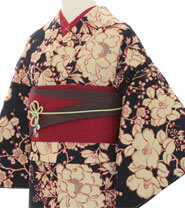 Rental Kimono Examples Cool Style