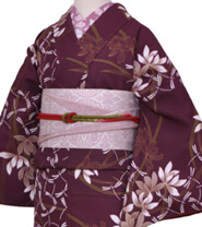 Rental Kimono Examples Elegant Style