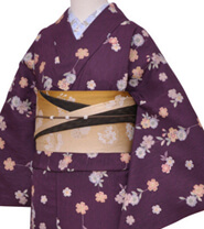 Rental Kimono Examples Elegant Style