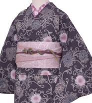 Rental Kimono Examples Elegant Style