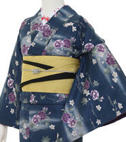 Rental Kimono Examples Elegant Style