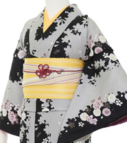 Rental Kimono Examples Elegant Style