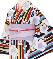 Rental Kimono Examples Elegant Style