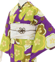 Rental Kimono Examples Antique Style