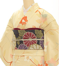 Rental Kimono Examples