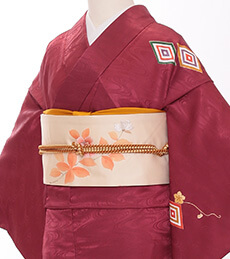 Rental Kimono Examples