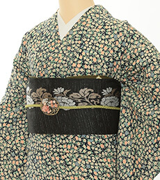 Rental Kimono Examples