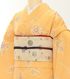 Rental Kimono Examples